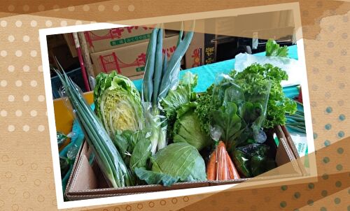 野菜の選び方,浅田農園